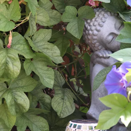 ゲストハウス La Paloma I 3*