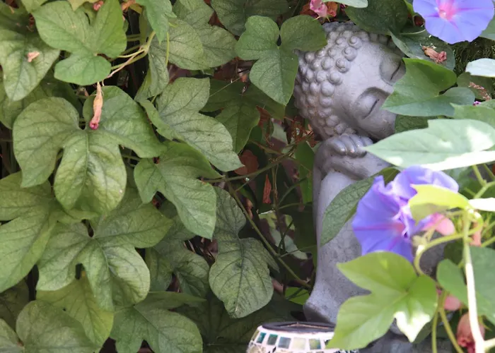 Pensionat La Paloma I 3*